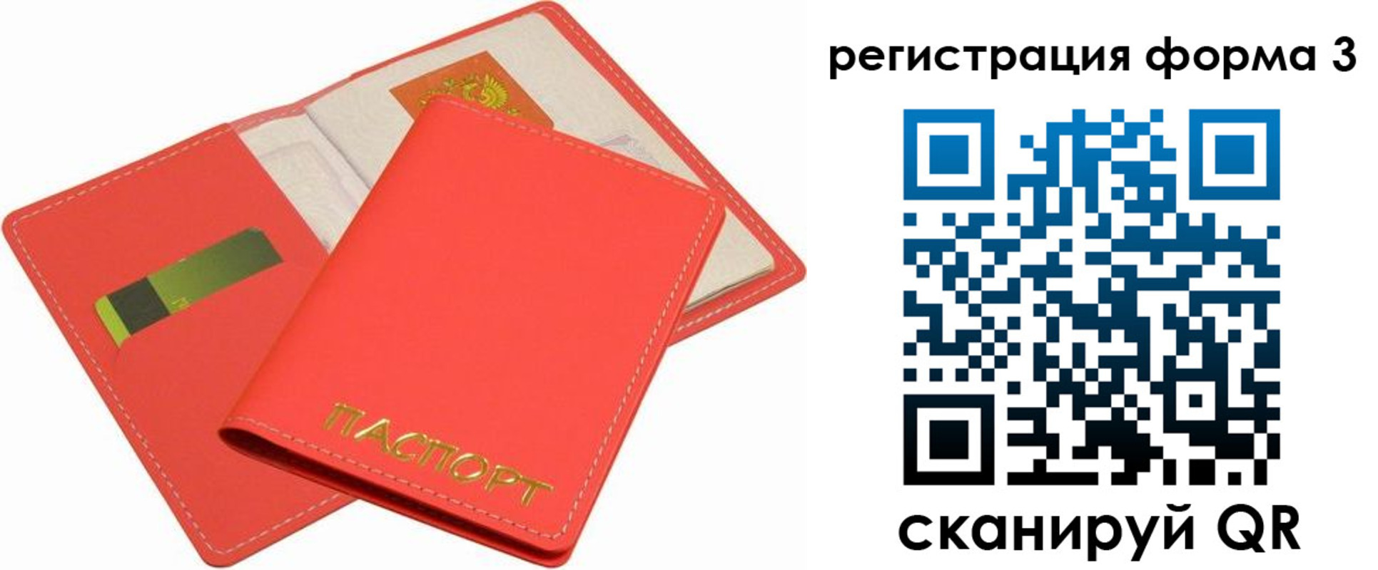 прописка для школы в Ершове